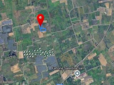 terreno agricolo in vendita a Veglie