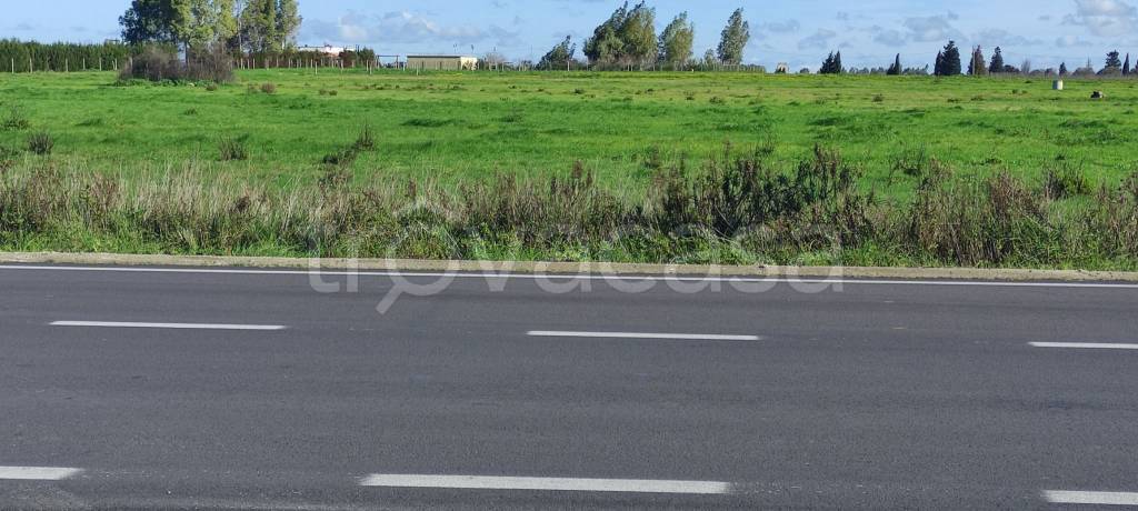 casa indipendente in vendita a Veglie