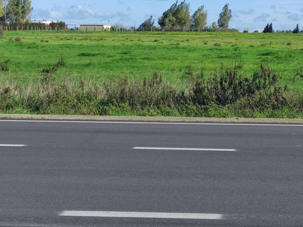 terreno agricolo in vendita a Veglie