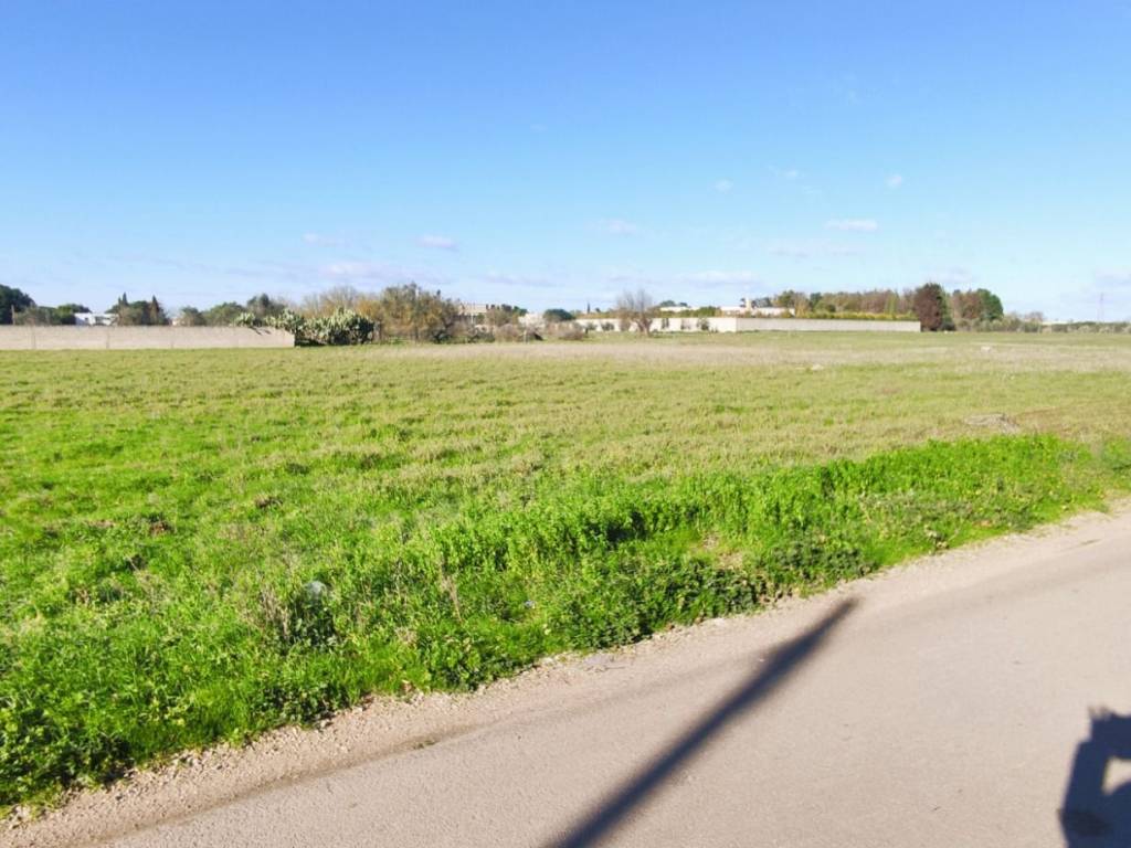 terreno agricolo in vendita a Veglie