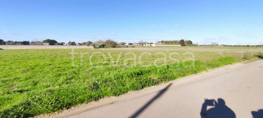 terreno agricolo in vendita a Veglie