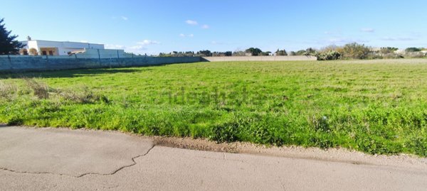 terreno agricolo in vendita a Veglie