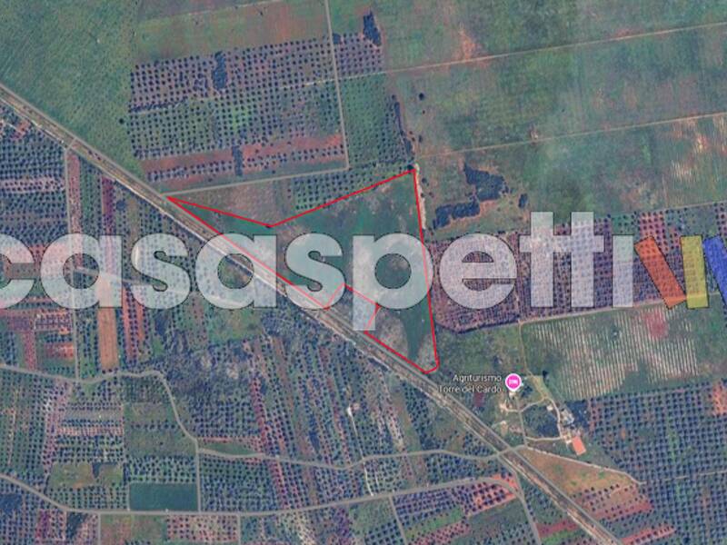 terreno agricolo in vendita a Veglie