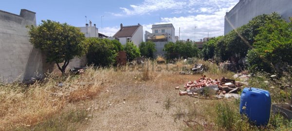 terreno edificabile in vendita a Veglie