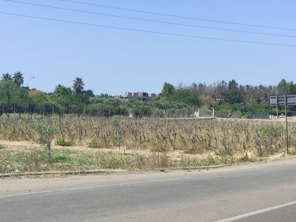 terreno agricolo in vendita a Veglie