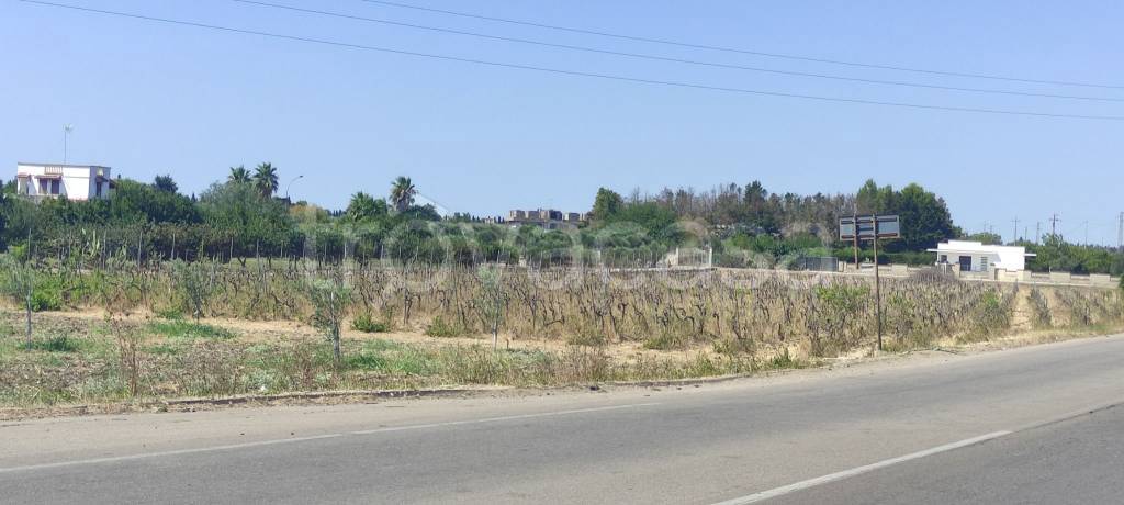terreno agricolo in vendita a Veglie