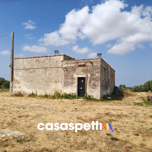 terreno agricolo in vendita a Veglie