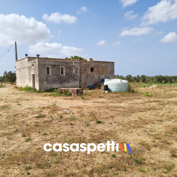 terreno agricolo in vendita a Veglie