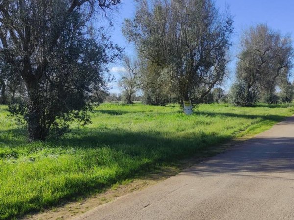 terreno in vendita a Veglie