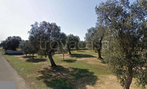 terreno agricolo in vendita a Vernole