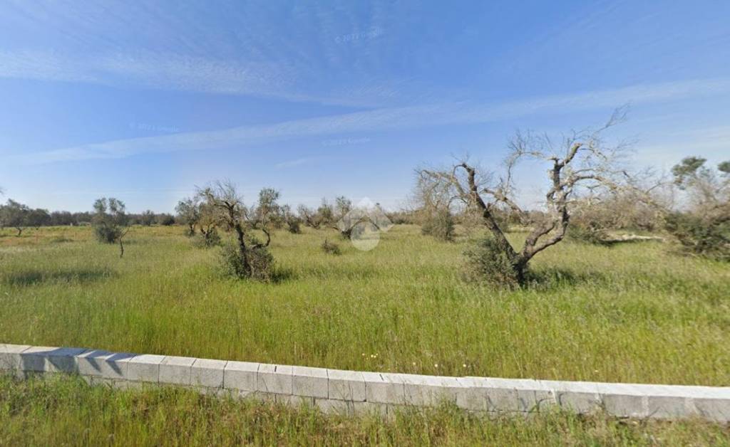 terreno agricolo in vendita a Vernole in zona Pisignano