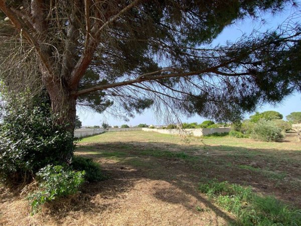 terreno agricolo in vendita a Vernole in zona Strudà
