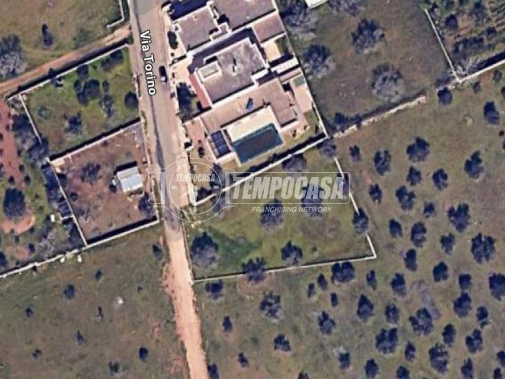 terreno agricolo in vendita a Vernole in zona Pisignano