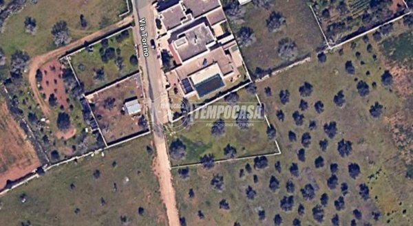 terreno agricolo in vendita a Vernole in zona Pisignano