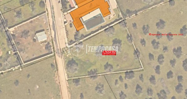 terreno agricolo in vendita a Vernole in zona Pisignano