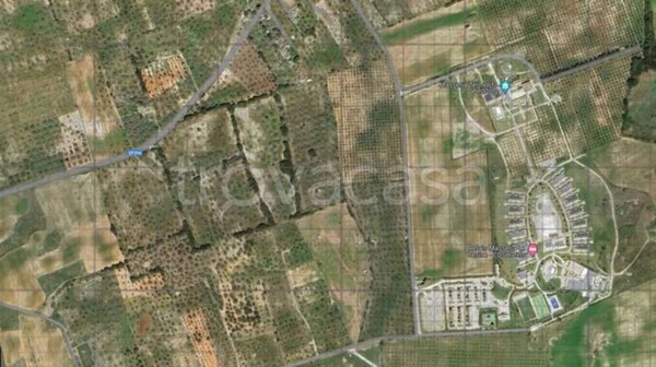 terreno agricolo in vendita a Vernole