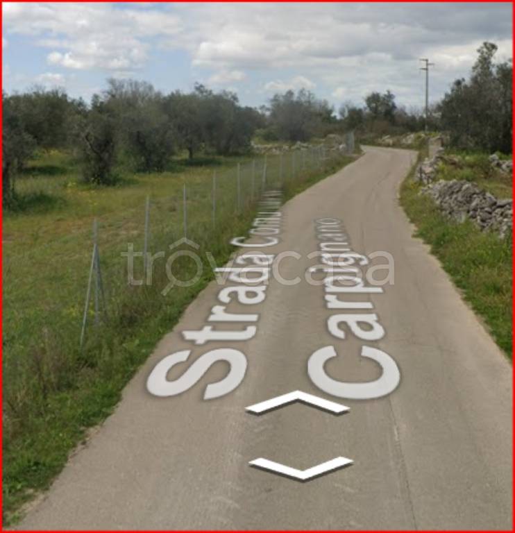 terreno agricolo in vendita a Vernole in zona Pisignano