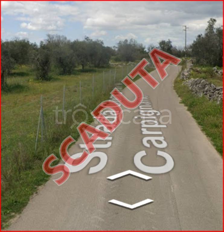 terreno agricolo in vendita a Vernole in zona Pisignano