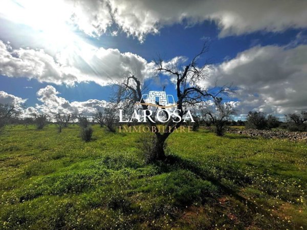 terreno agricolo in vendita a Vernole