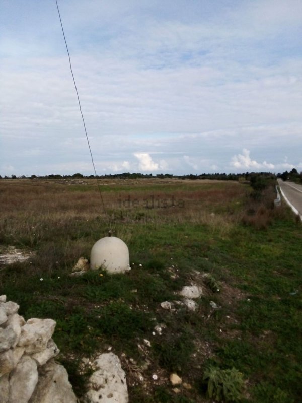 terreno agricolo in vendita a Vernole in zona Vanze