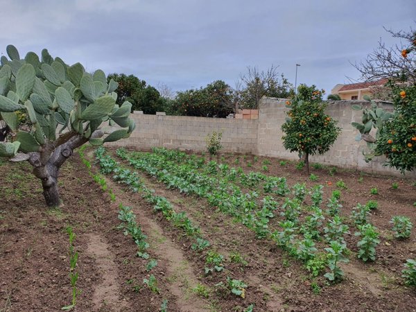 casa indipendente in vendita a Vernole in zona Strudà