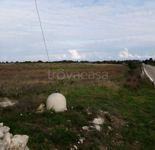 terreno agricolo in vendita a Vernole in zona Vanze