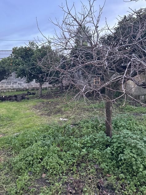 appartamento in vendita a Vernole