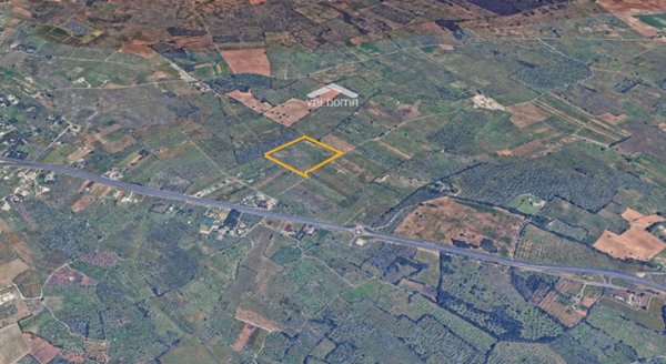 terreno agricolo in vendita a Vernole