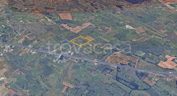 terreno agricolo in vendita a Vernole