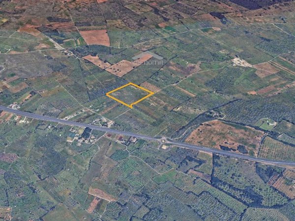 terreno agricolo in vendita a Vernole