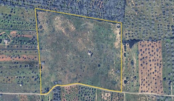 terreno agricolo in vendita a Vernole