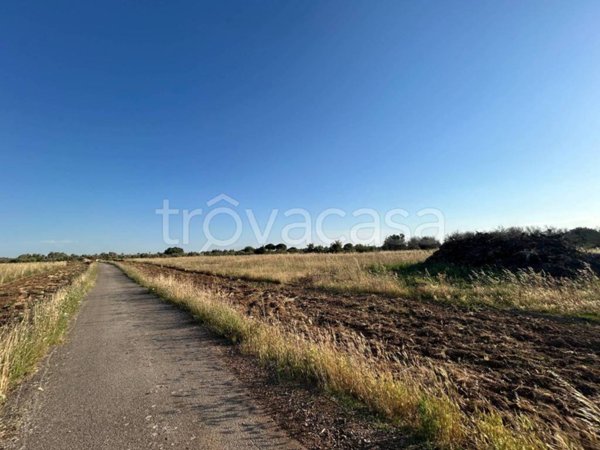 terreno agricolo in vendita a Vernole in zona Strudà