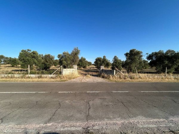 terreno agricolo in vendita a Vernole in zona Strudà