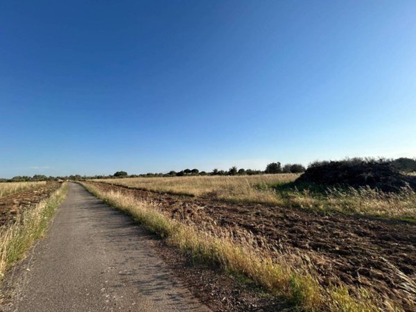 terreno in vendita a Vernole in zona Strudà