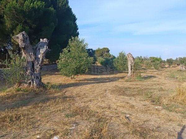 terreno in vendita a Vernole in zona Strudà