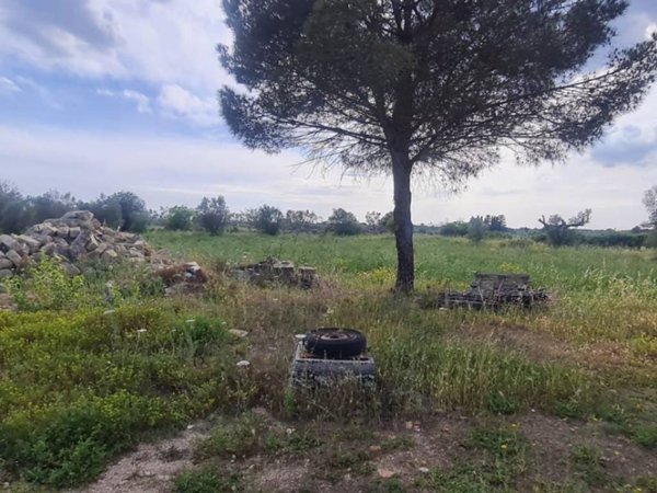 terreno agricolo in vendita a Zollino