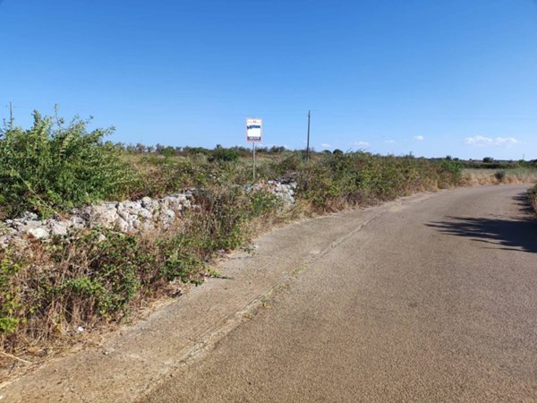 terreno agricolo in vendita a Zollino