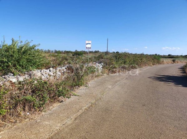 terreno agricolo in vendita a Zollino