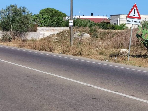 terreno agricolo in vendita a Zollino