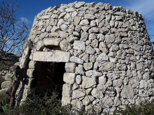 terreno agricolo in vendita a Zollino