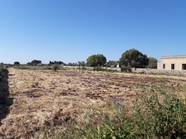 terreno agricolo in vendita a Zollino