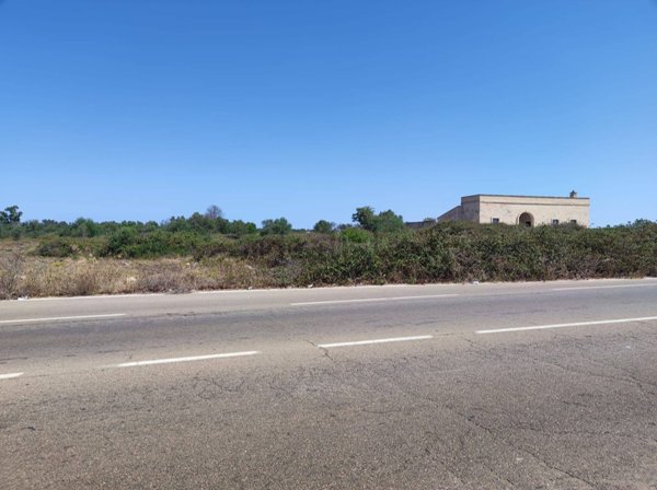 terreno agricolo in vendita a Zollino