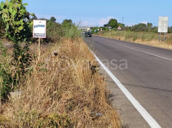 terreno agricolo in vendita a Zollino