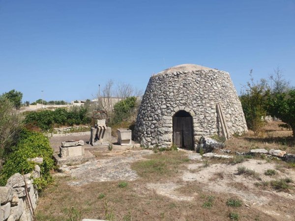 terreno agricolo in vendita a Zollino