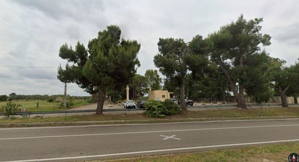 terreno agricolo in vendita a Zollino