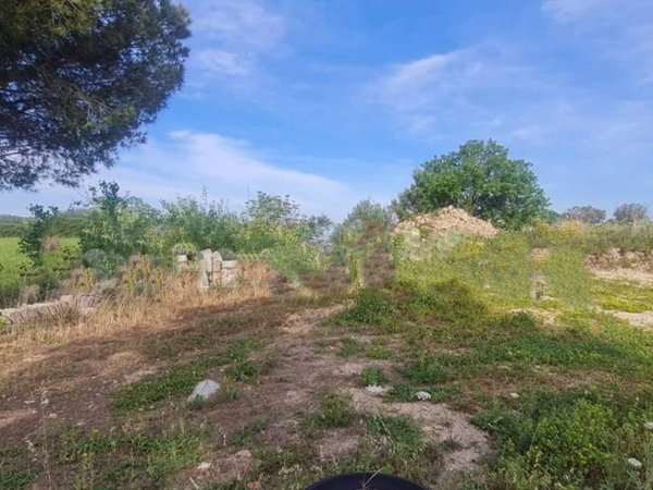 terreno agricolo in vendita a Zollino