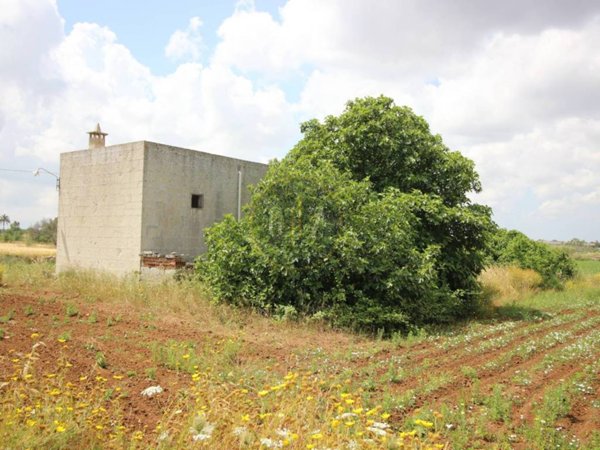 terreno agricolo in vendita a Zollino