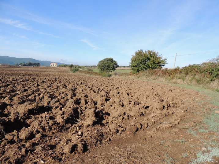 casa indipendente in vendita a Castro(LE)