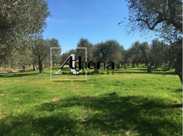 casale in vendita a Castro(LE)