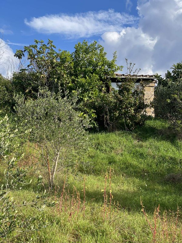 pentavano in vendita a Castro(LE)